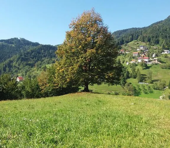 Appartement Cosy Pr Potokar Podlonk